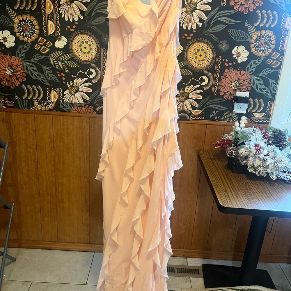 Windsor Strapless Light Pink Ruffle Dress